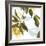 Lemon Floral-Andrew Michaels-Framed Art Print