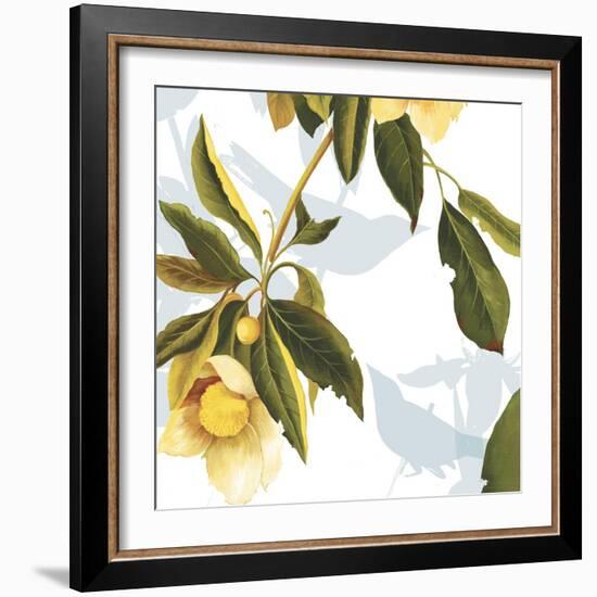 Lemon Floral-Andrew Michaels-Framed Art Print