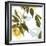 Lemon Floral-Andrew Michaels-Framed Art Print