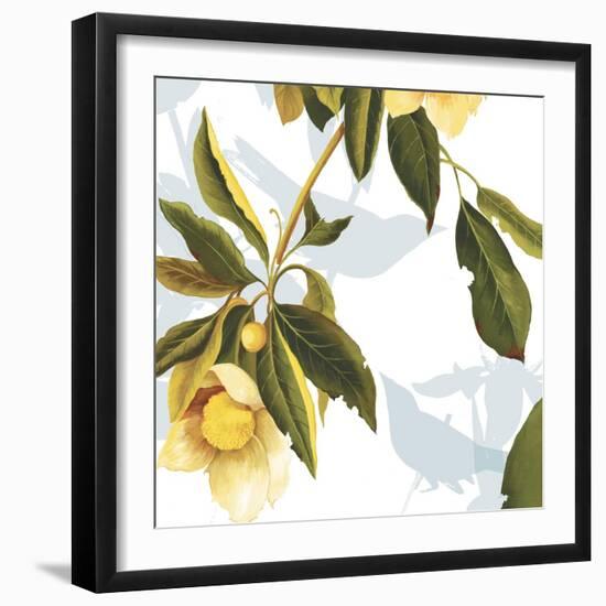 Lemon Floral-Andrew Michaels-Framed Art Print