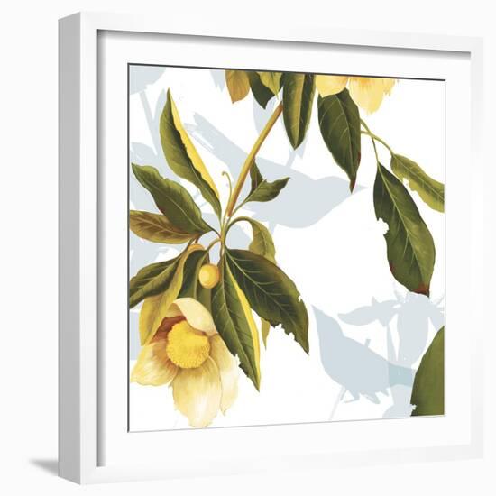 Lemon Floral-Andrew Michaels-Framed Art Print