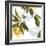 Lemon Floral-Andrew Michaels-Framed Art Print