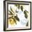 Lemon Floral-Andrew Michaels-Framed Art Print