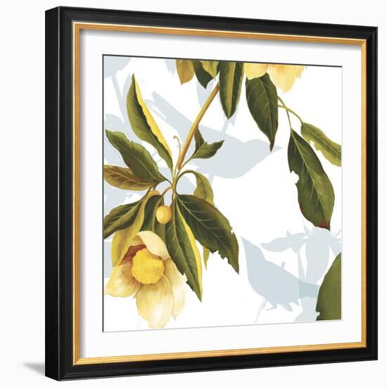 Lemon Floral-Andrew Michaels-Framed Art Print
