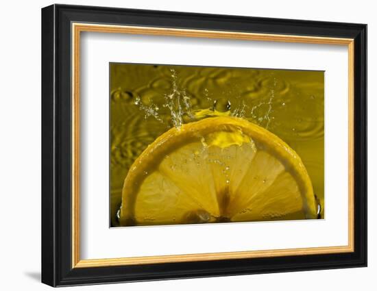 Lemon FreshSplash Number 2-Steve Gadomski-Framed Photographic Print