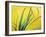 Lemon Grass Leaves-Lawrence Lawry-Framed Photographic Print