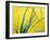 Lemon Grass Leaves-Lawrence Lawry-Framed Photographic Print