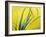 Lemon Grass Leaves-Lawrence Lawry-Framed Photographic Print