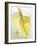 Lemon Grass Lemonade in Two Glasses-Chris Alack-Framed Photographic Print