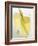 Lemon Grass Lemonade in Two Glasses-Chris Alack-Framed Photographic Print