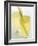 Lemon Grass Lemonade in Two Glasses-Chris Alack-Framed Photographic Print