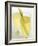 Lemon Grass Lemonade in Two Glasses-Chris Alack-Framed Photographic Print