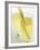 Lemon Grass Lemonade in Two Glasses-Chris Alack-Framed Photographic Print