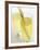 Lemon Grass Lemonade in Two Glasses-Chris Alack-Framed Photographic Print