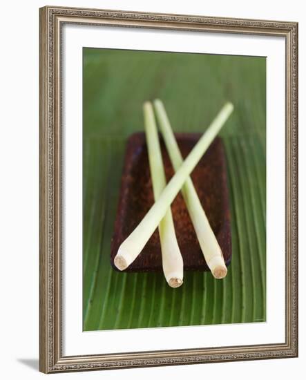 Lemon Grass-Jean Cazals-Framed Photographic Print