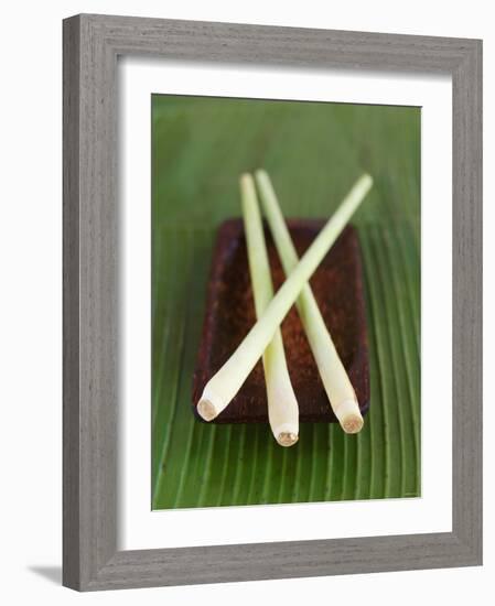 Lemon Grass-Jean Cazals-Framed Photographic Print