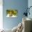Lemon Grove I-Karyn Millet-Photo displayed on a wall