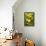 Lemon Grove II-Karyn Millet-Framed Stretched Canvas displayed on a wall