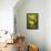 Lemon Grove II-Karyn Millet-Framed Stretched Canvas displayed on a wall