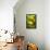 Lemon Grove II-Karyn Millet-Framed Stretched Canvas displayed on a wall