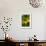 Lemon Grove III-Karyn Millet-Framed Photo displayed on a wall