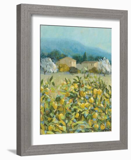 Lemon Grove, Tuscany - Observation-Hazel Barker-Framed Giclee Print