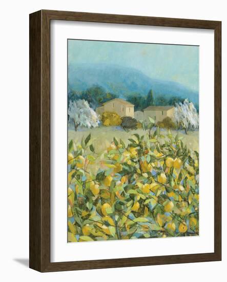 Lemon Grove, Tuscany - Observation-Hazel Barker-Framed Giclee Print