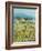 Lemon Grove, Tuscany - Observation-Hazel Barker-Framed Giclee Print