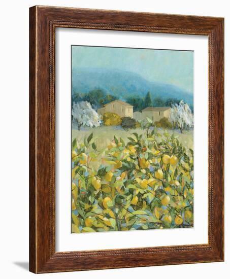 Lemon Grove, Tuscany - Observation-Hazel Barker-Framed Giclee Print