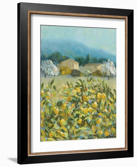 Lemon Grove, Tuscany - Observation-Hazel Barker-Framed Giclee Print