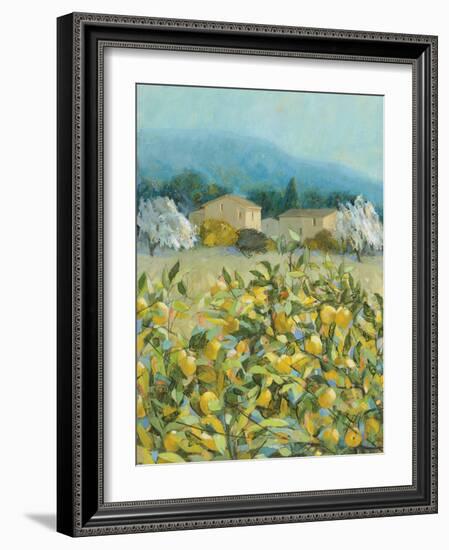 Lemon Grove, Tuscany - Observation-Hazel Barker-Framed Giclee Print