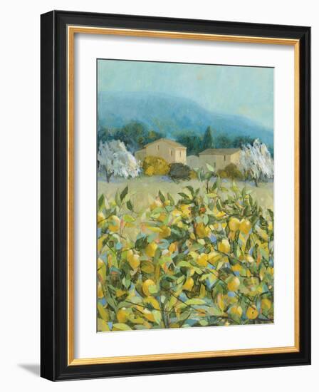 Lemon Grove, Tuscany - Observation-Hazel Barker-Framed Giclee Print