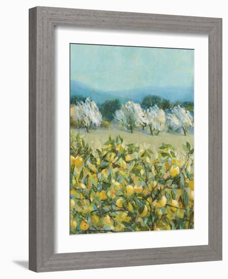 Lemon Grove, Tuscany - Perception-Hazel Barker-Framed Giclee Print