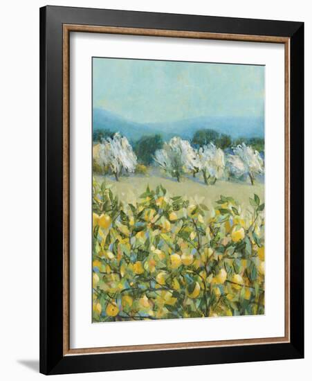 Lemon Grove, Tuscany - Perception-Hazel Barker-Framed Giclee Print