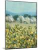 Lemon Grove, Tuscany - Perception-Hazel Barker-Mounted Giclee Print