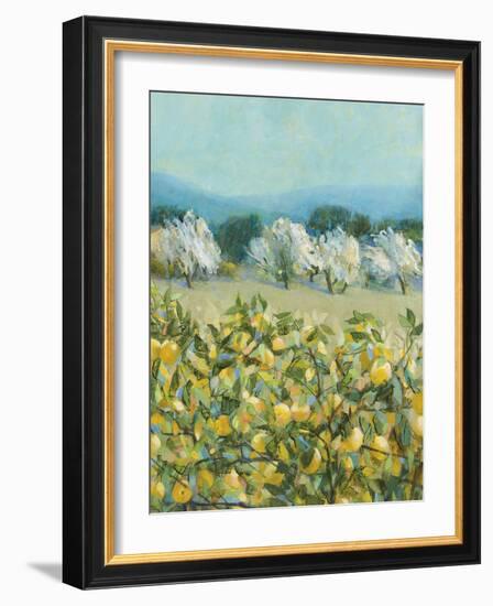 Lemon Grove, Tuscany - Perception-Hazel Barker-Framed Giclee Print