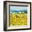 Lemon Grove, Tuscany-Hazel Barker-Framed Art Print