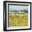 Lemon Grove, Tuscany-Hazel Barker-Framed Giclee Print