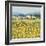 Lemon Grove, Tuscany-Hazel Barker-Framed Giclee Print