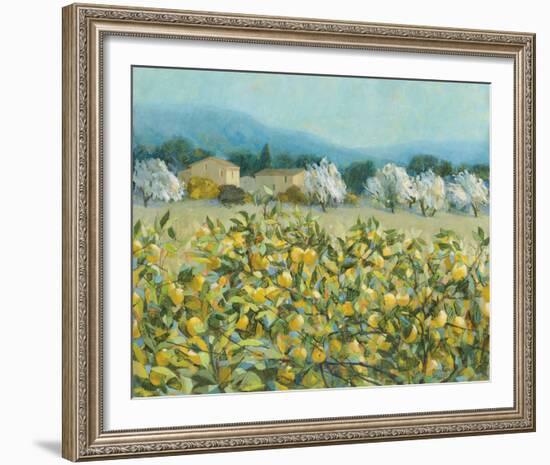 Lemon Grove, Tuscany-Hazel Barker-Framed Giclee Print