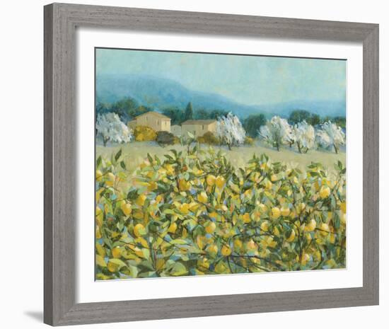 Lemon Grove, Tuscany-Hazel Barker-Framed Giclee Print