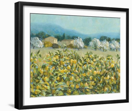 Lemon Grove, Tuscany-Hazel Barker-Framed Giclee Print