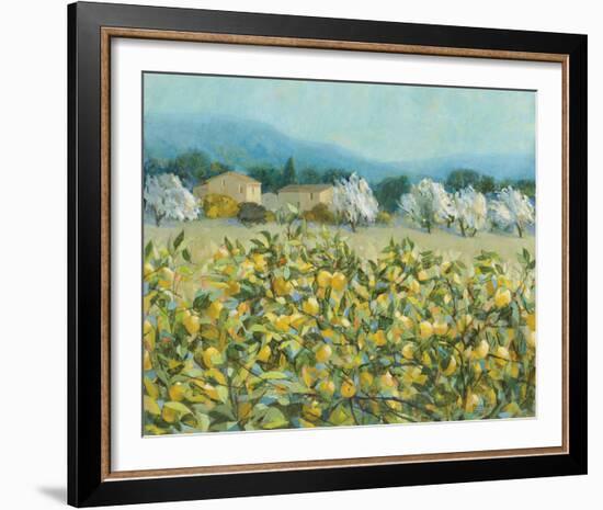 Lemon Grove, Tuscany-Hazel Barker-Framed Giclee Print