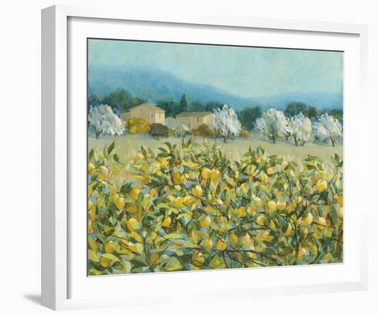 Lemon Grove, Tuscany-Hazel Barker-Framed Giclee Print