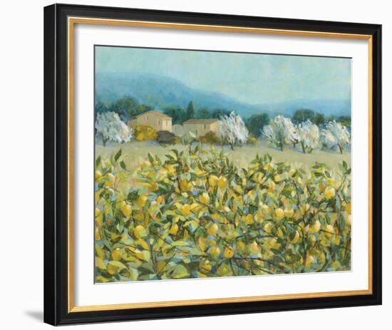 Lemon Grove, Tuscany-Hazel Barker-Framed Giclee Print