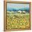Lemon Grove, Tuscany-Hazel Barker-Framed Stretched Canvas
