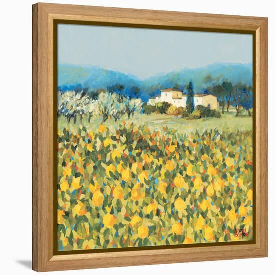 Lemon Grove, Tuscany-Hazel Barker-Framed Stretched Canvas