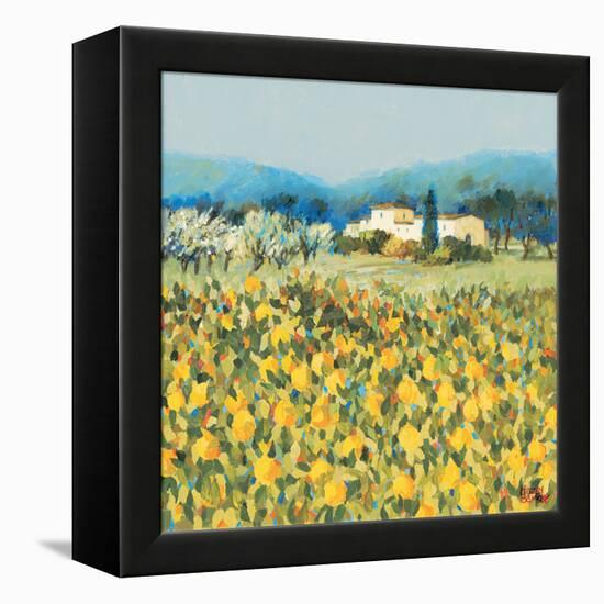 Lemon Grove, Tuscany-Hazel Barker-Framed Stretched Canvas