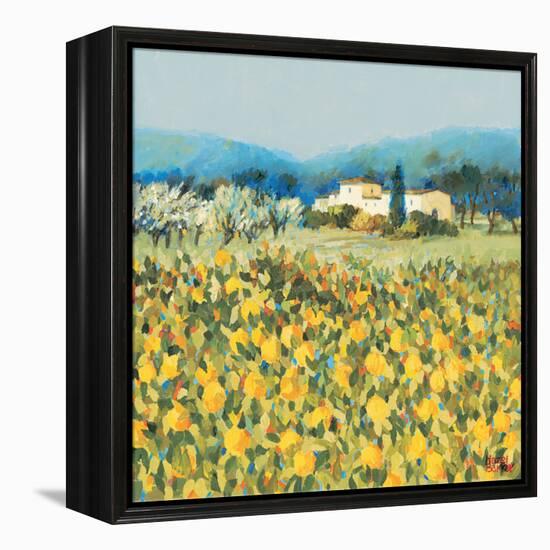 Lemon Grove, Tuscany-Hazel Barker-Framed Stretched Canvas