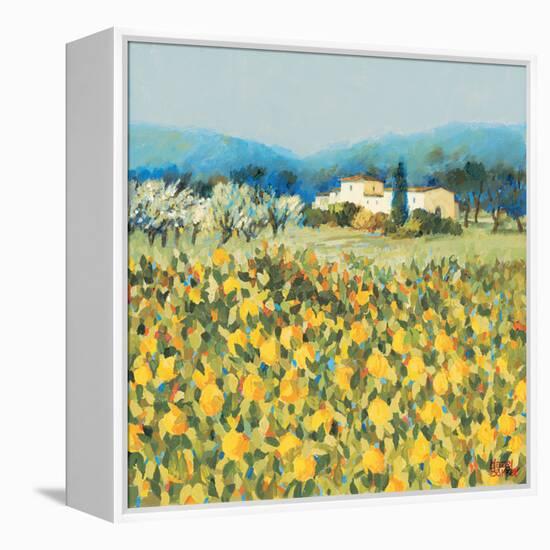 Lemon Grove, Tuscany-Hazel Barker-Framed Stretched Canvas